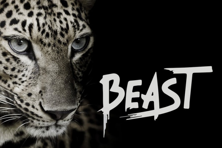 Beast - Brush Font Font Download
