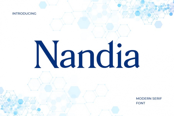 Nandi Modern Serif Font Font Download
