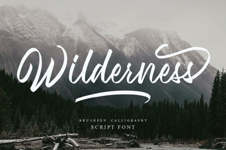Wilderness Scipt MS Font Download