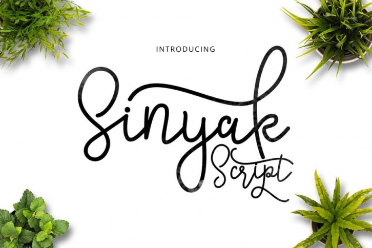 Sinyak Script Font Download