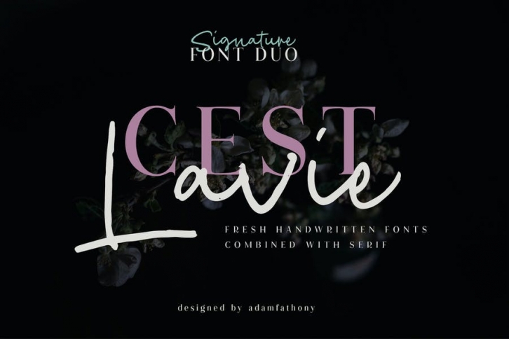 Cest Lavie Font Duo Font Download