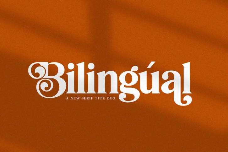 Bilingual Serif Font Duo Font Download
