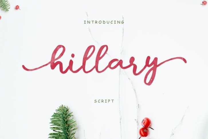 Hillary Script + Webfonts Font Download