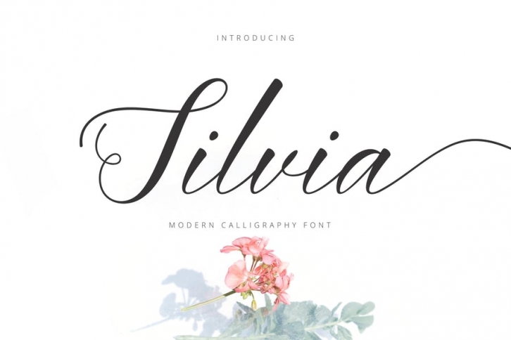 Silvia Script Font Download