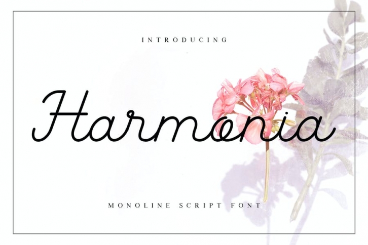 Harmonia Monoline Script Font Font Download