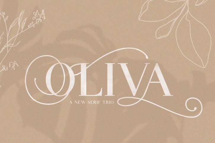 Oliva Serif Font Trio Font Download
