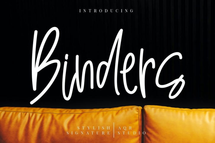 Binders Stylish Signature Font Download