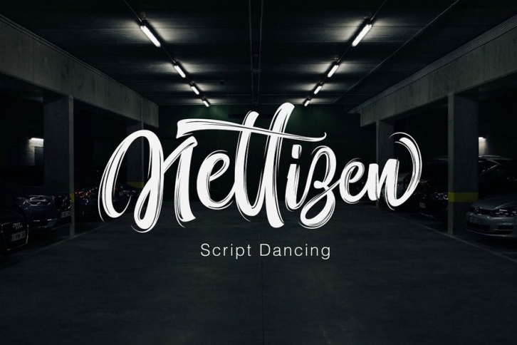 Nettizen - Modern Script Font Download