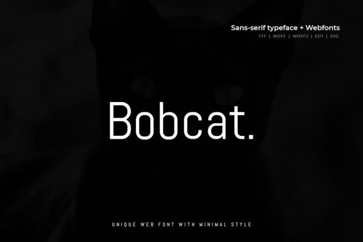 Bobcat  - Modern Typeface + WebFont Font Download