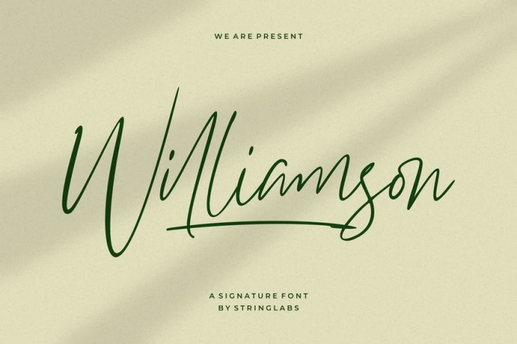 Williamson - Luxury Signature Font Font Download