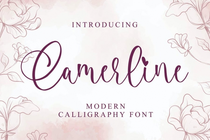 Camerline - Modern Calligraphy Font Font Download