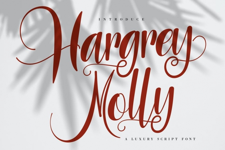 Hargery Molly | Luxury Script Font Font Download