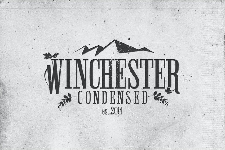 Winchester Condensed Font Font Download