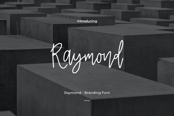 Raymond - Branding Font Font Download