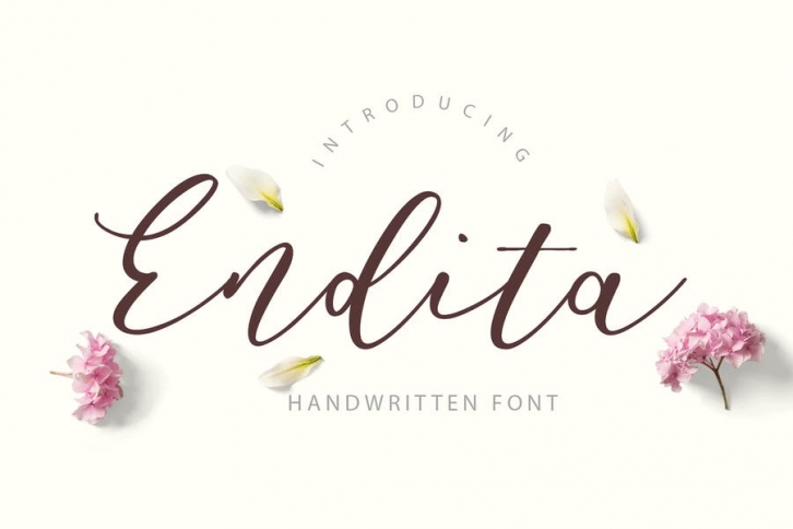 Endita Handwritten Font Font Download