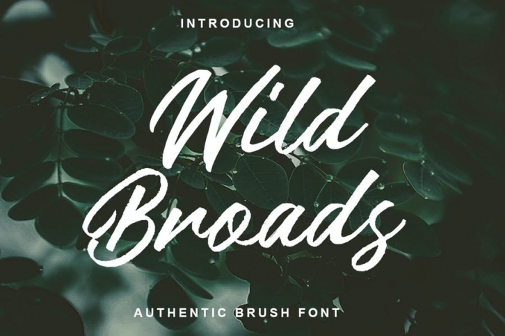 Wild Broads - Authentic Brush Font Font Download