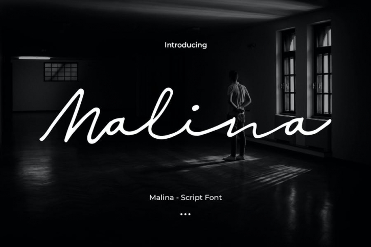 Malina - Script Font Font Download