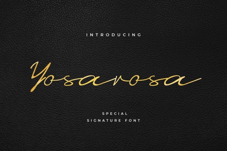 Yosarosa Classic Signature Font Font Download