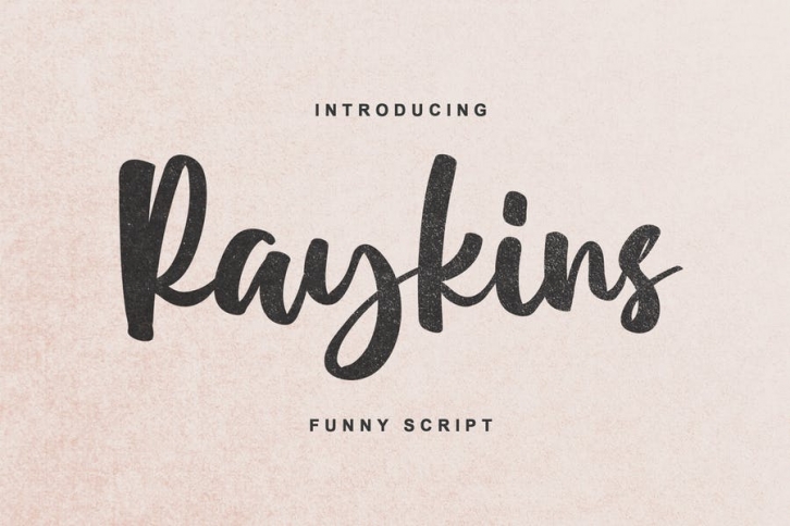 Raykins - Funny Script Font Download