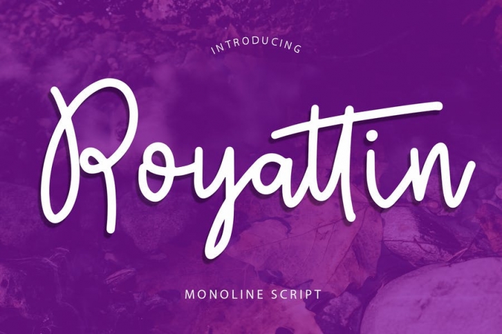 Royattin Modern Calligraphy Monoline Font Font Download