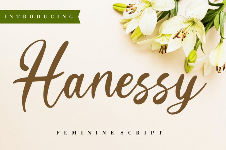 Hanessy Feminine Script Font Download