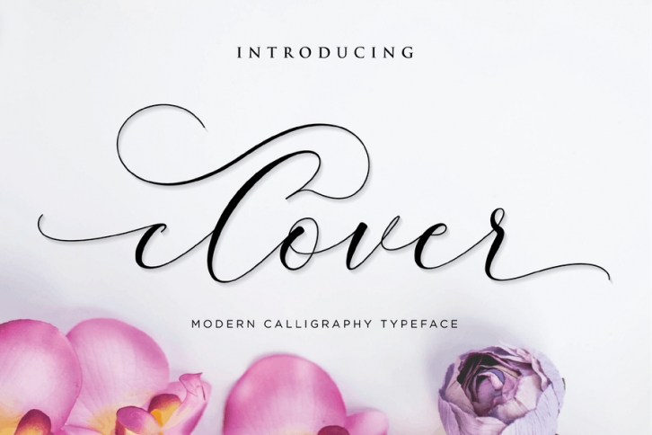 Clover - Script Font Font Download