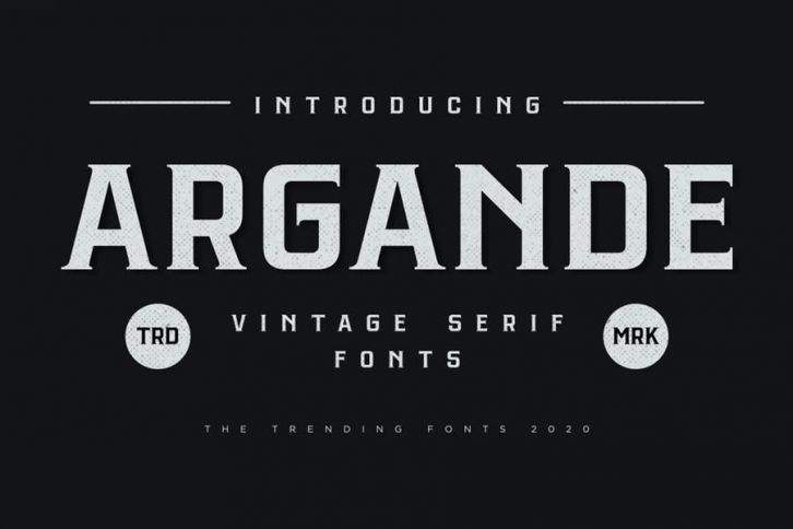 Argande - Vintage Serif Font Font Download