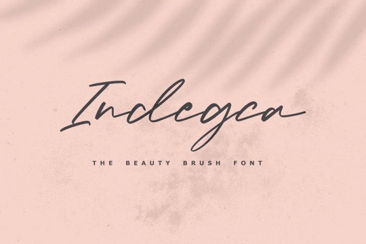 Indegca - The Beauty Brush Font Font Download