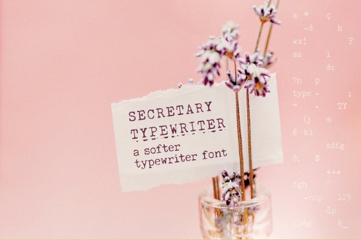 SALE! Secretary Typewriter font Font Download