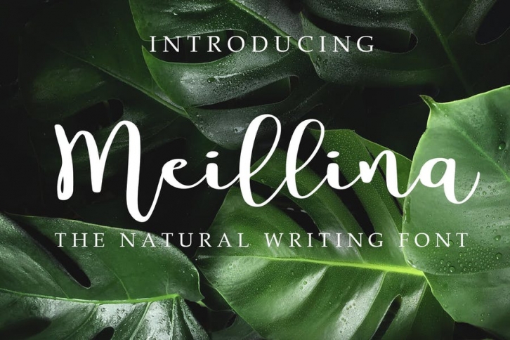 Meillina Natural Font Font Download