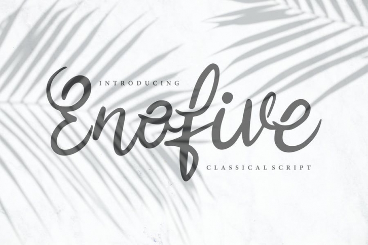 Enofive | Classical Script Font Font Download