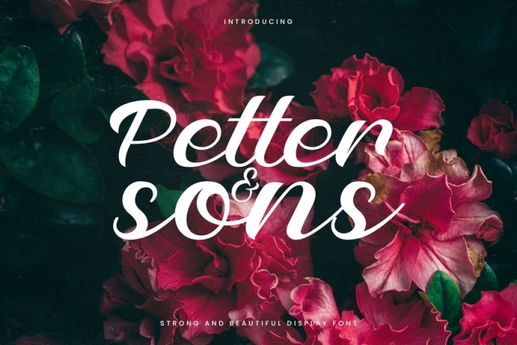 Petter And Sons - Romantic Beauty Script Font Download