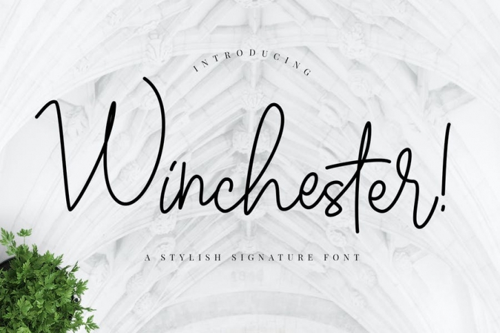 Winchester Signature Script Font Download