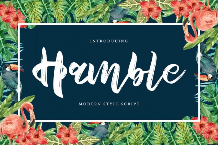 Hamble | Modern Style Script Font Font Download