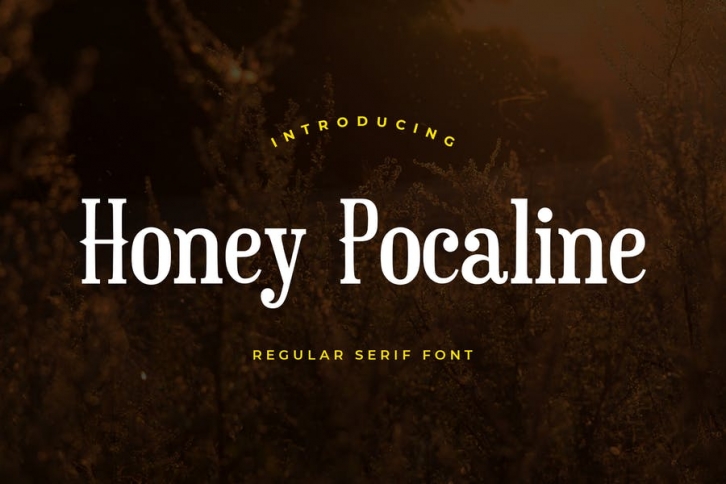 Honey Pocaline Serif Font Font Download