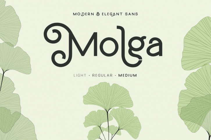 Molga font Font Download