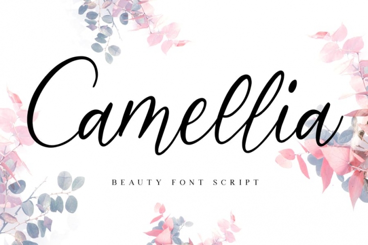 Camellia Beauty Script Font Font Download