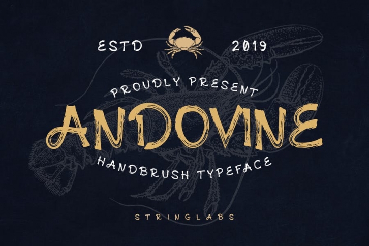 Andovine - Handbrush Font Font Download