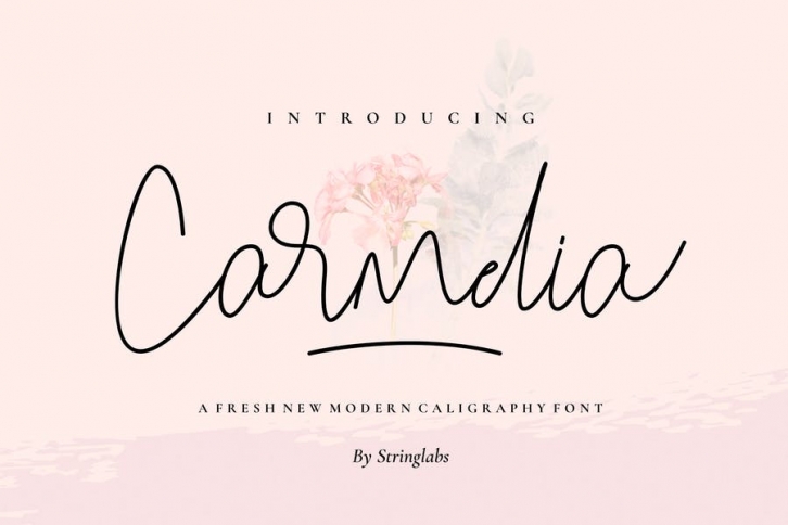 Carmelia - Modern Calligraphy Font Font Download