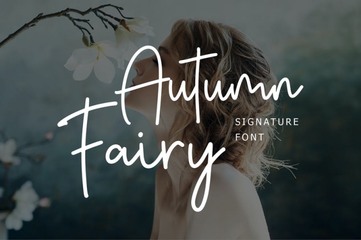 Autumn Fairy Signature Monoline Script Font Download