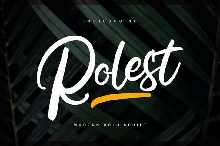 Rolest | Modern Bold Script Font Font Download