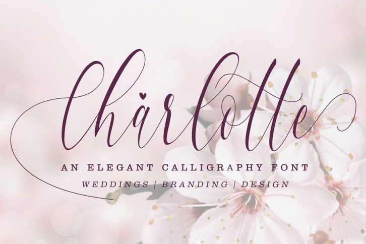 Charlotte Calligraphy Font Download