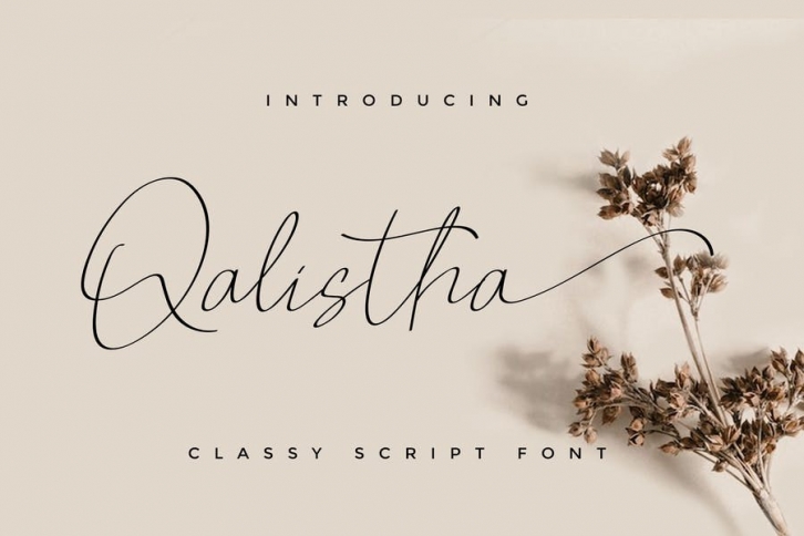 Qalistha YP  Script Font Font Download