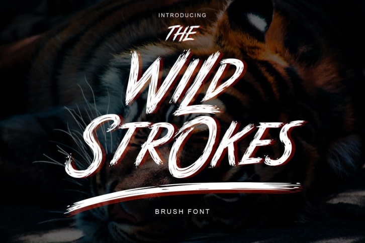 The Wild Strokes Font Download