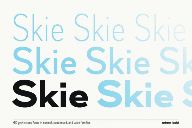 Skie Font Family - 60 Fonts Font Download