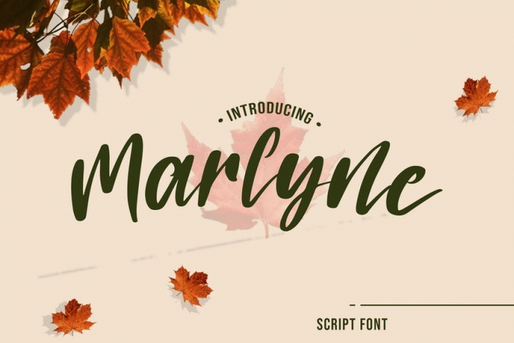 Marlyne  - Script Font Font Download