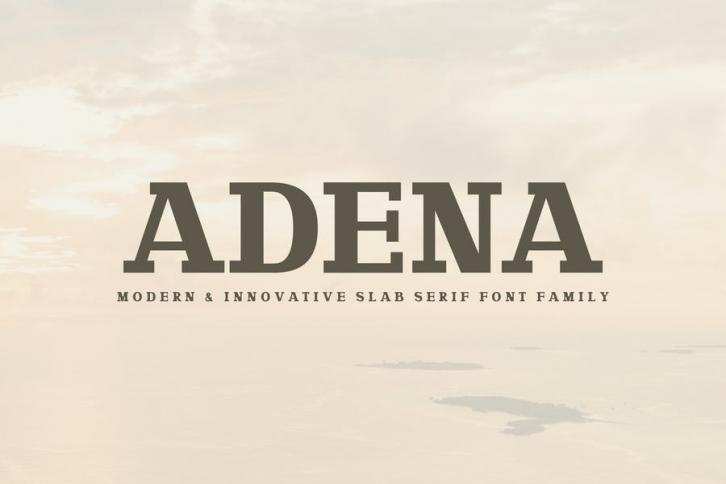 Adena Slab Serif Font Family Font Download