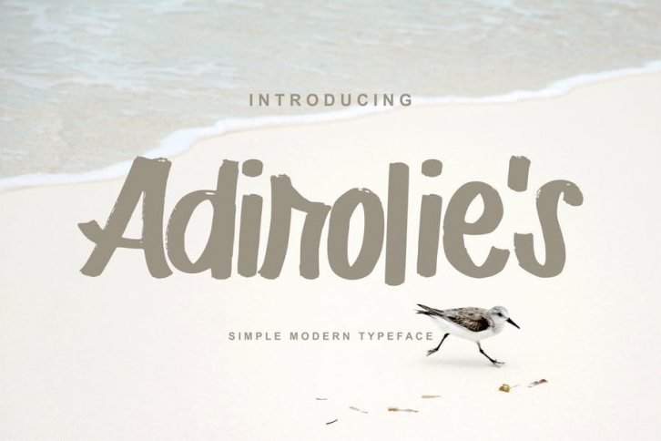 Adirolie's | Simple Modern Typeface Font Font Download
