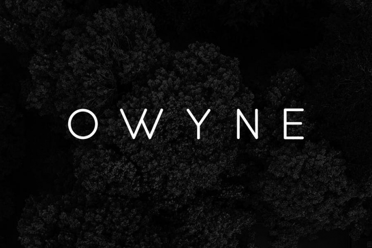 OWYNE - Modern Fashion / Stylish Typeface Font Download