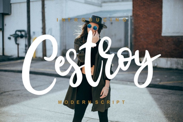 Cestroy Modern Script Font Download